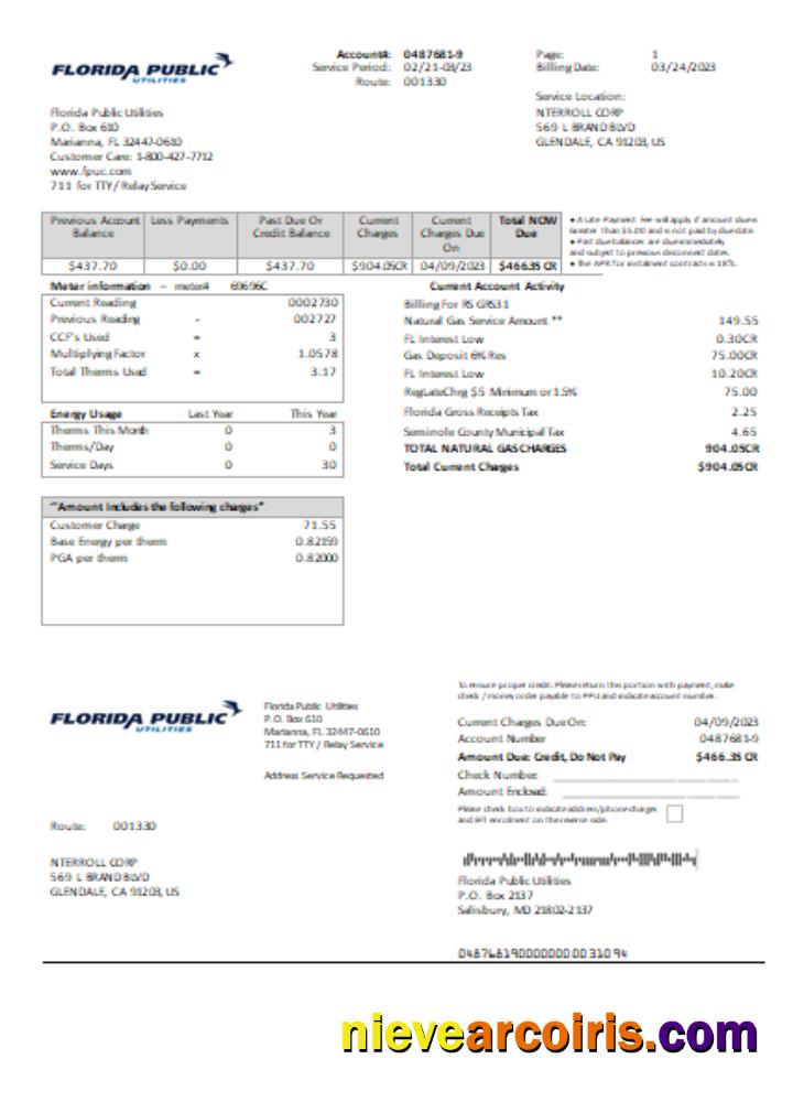 Florida Public Utilities utility business bill